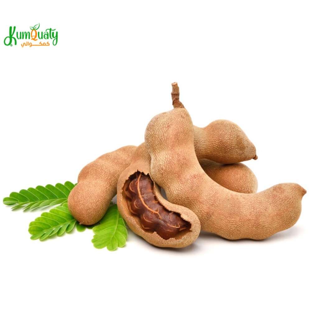 تمر هندي علبة