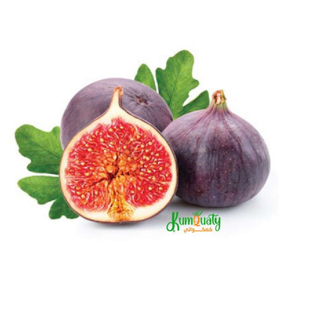 تين اسود فلين