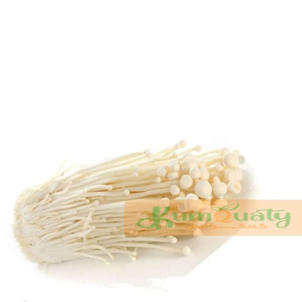 فطر أنويكا علبة