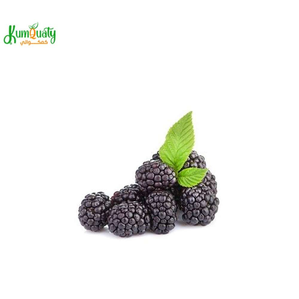 توت اسود علبة