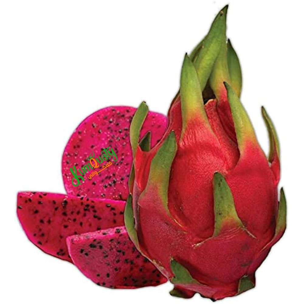 ( دراجون  ) فاكهة التنين الاحمر صحن