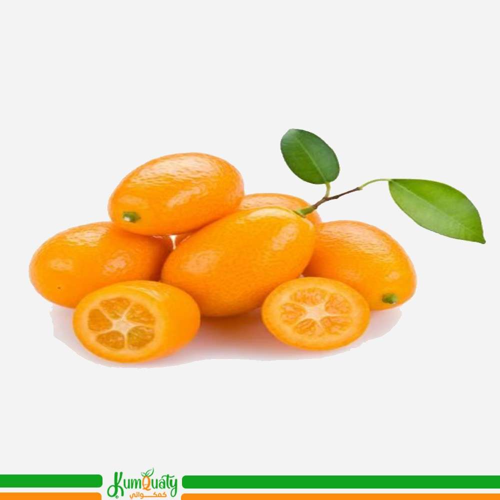 كمكوات (صحن) 500 جرام تقريبا