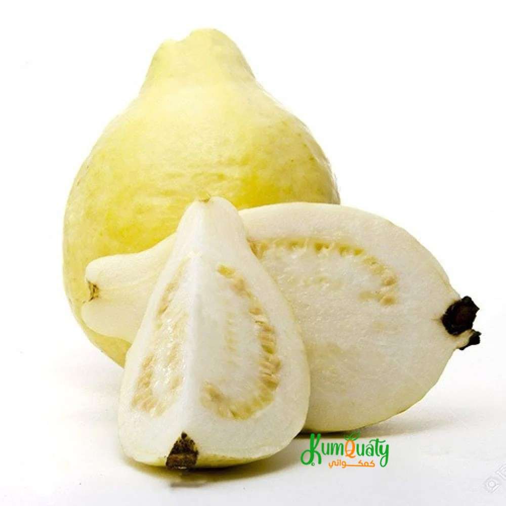 جوافة صفراء مصري