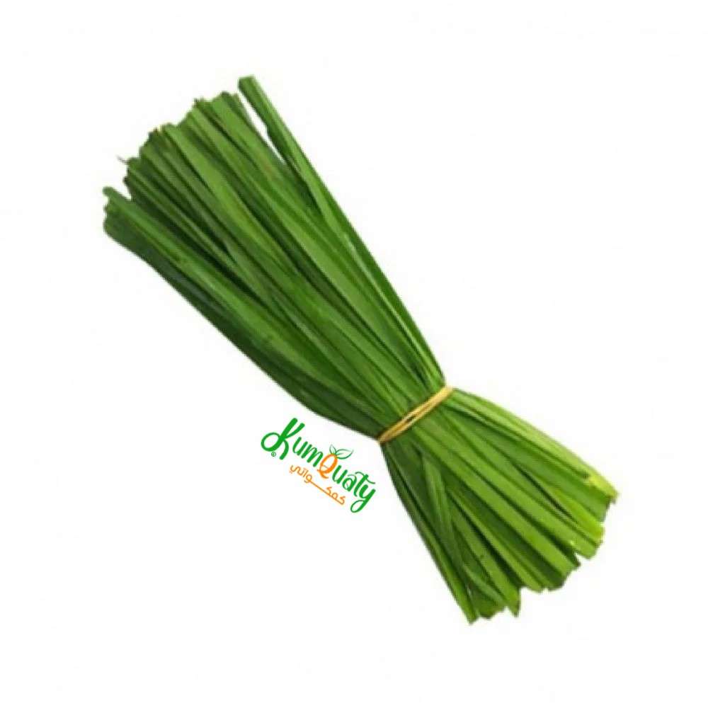 كراث اخضر ربطه