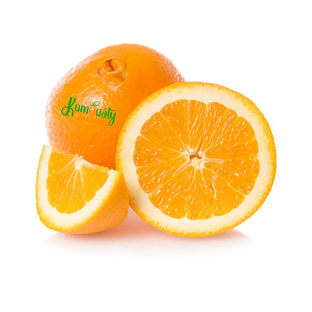 برتقال صره( اكل ) كرتون