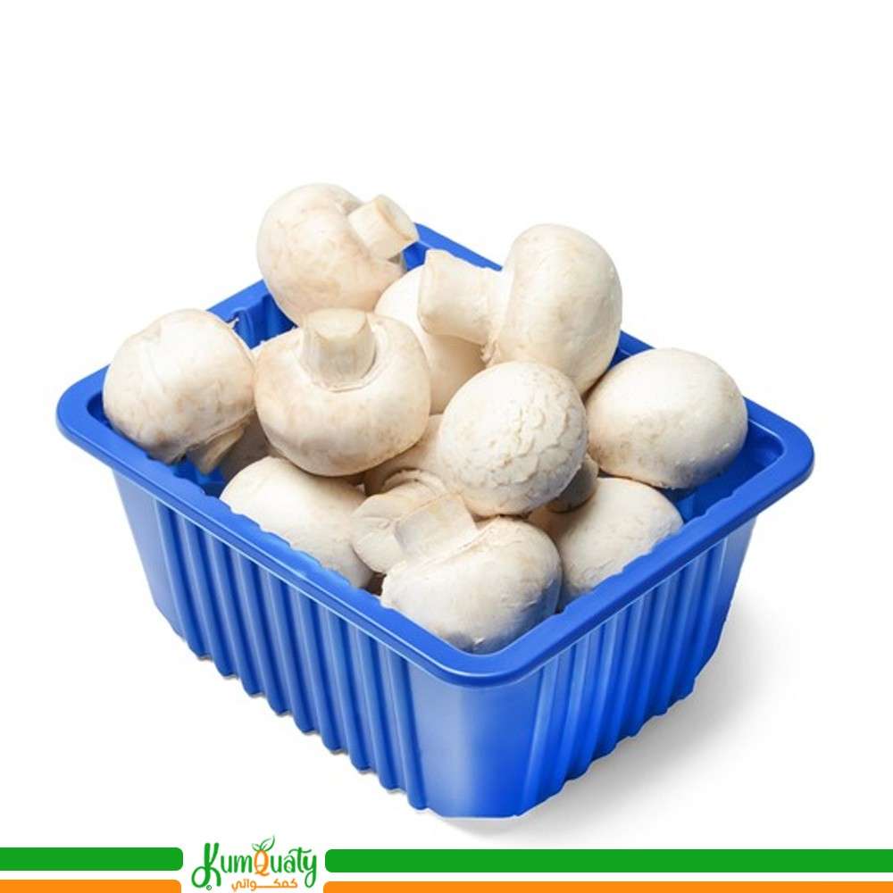 فطر ابيض علبة