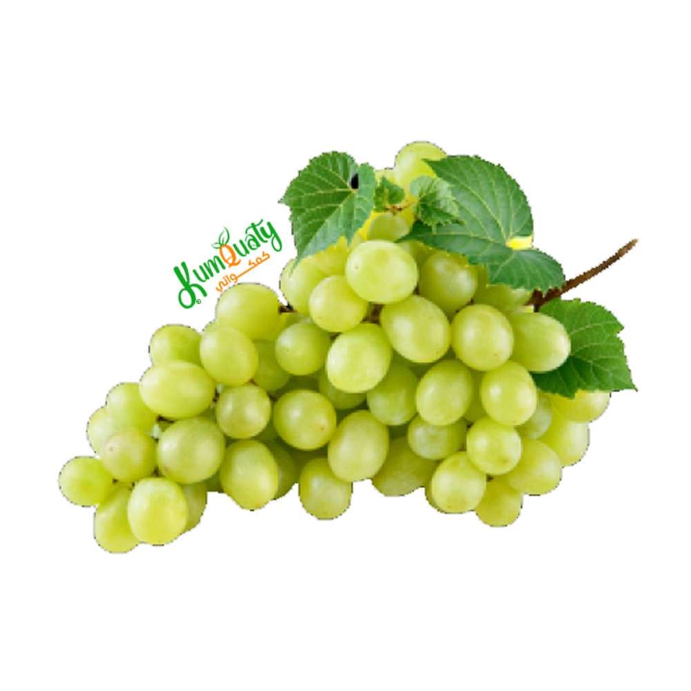 عنب اخضر مستورد كيلو